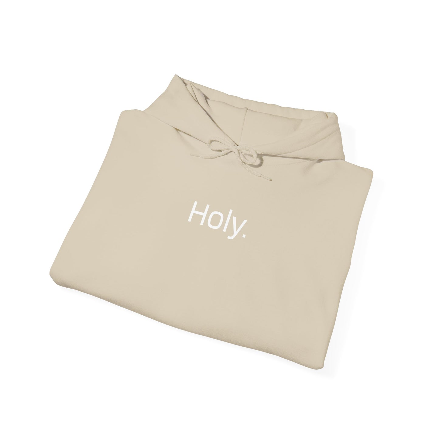 “Holy” Embroidered Hoodie