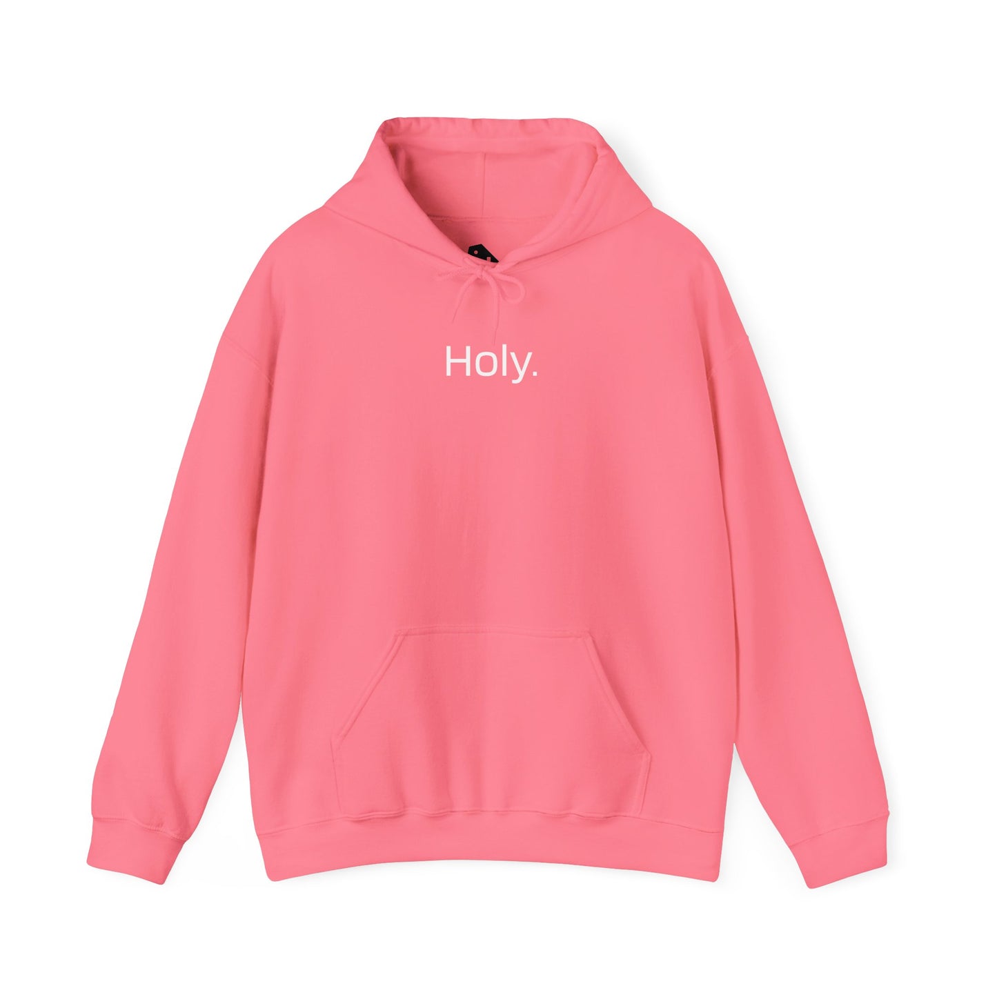 “Holy” Embroidered Hoodie