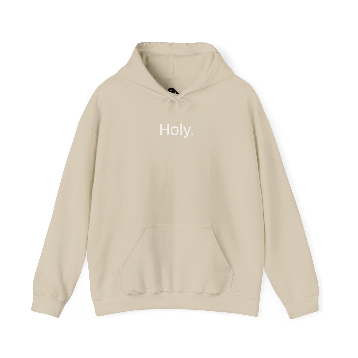 “Holy” Embroidered Hoodie